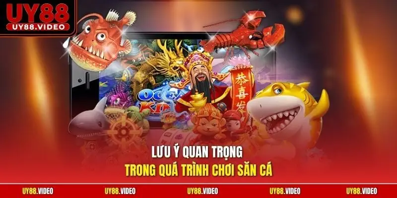 Lưu ý quan trọng trong quá trình chơi săn cá