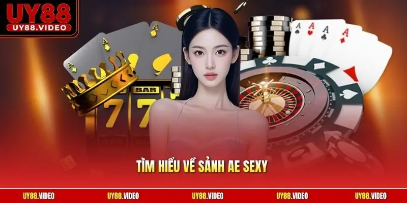 Tìm Hiểu Về Sảnh AE Sexy - Địa Điểm Giải Trí Hấp Dẫn